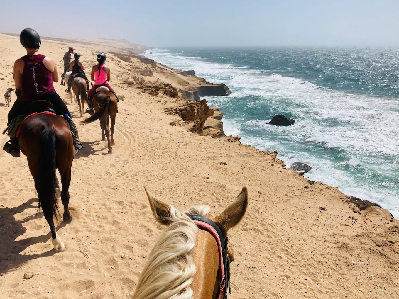 ATLAS COAST ATLI SAFARİ