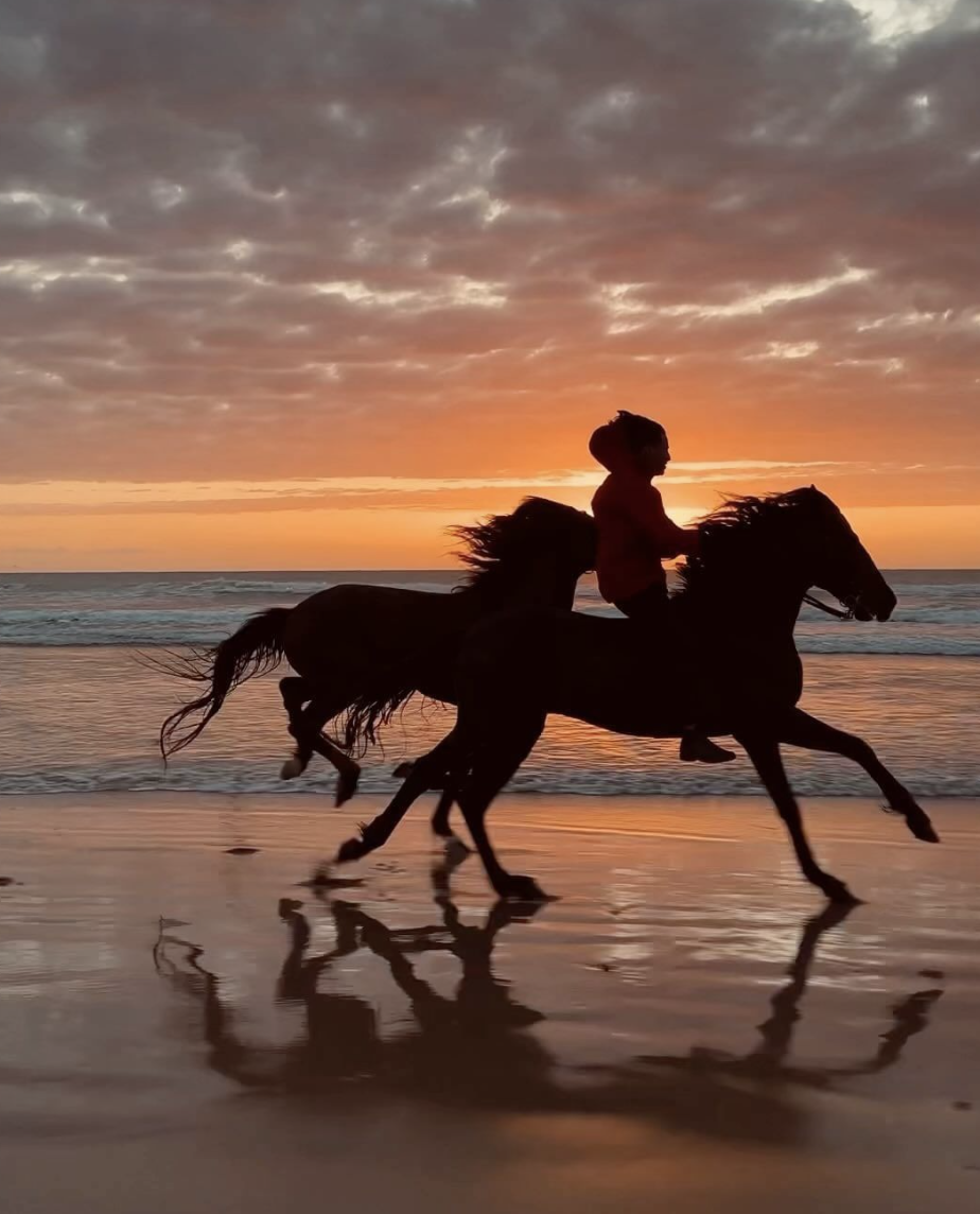 ATLAS COAST ATLI SAFARİ